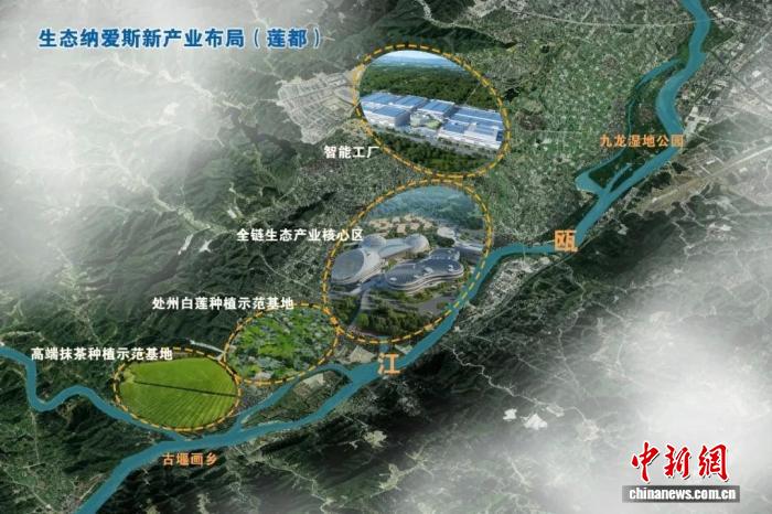 天顺平台登录：从“天生丽质”到“产业丽链”：浙江莲都生态化崛起